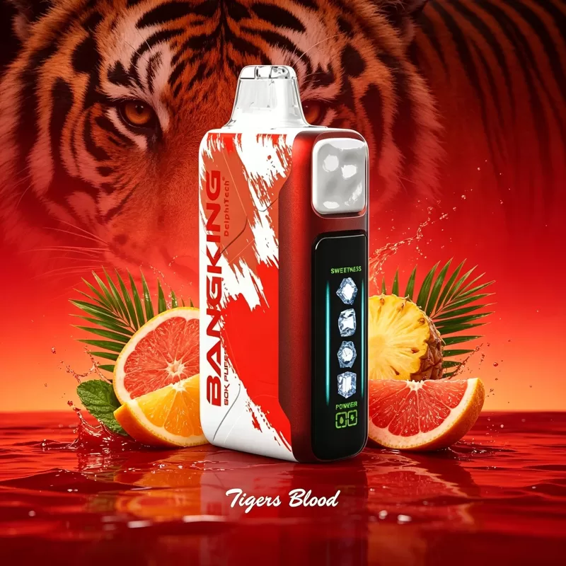 Bang King Ice Cool 60000 60K Puffs Adjustable Ice Level LED Display Disposable Vape Japan warehouse - Vapeq10 - Image 3