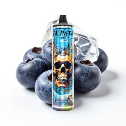 JNR Calavera 11000 Puffs Tipo-C 850mAh 21ml Arándano Helado