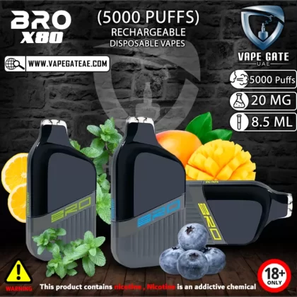 BRO X08 RECHARGEABLE DISPOSABLE VAPES (5000 PUFFS) - 20 mg / Blueberry