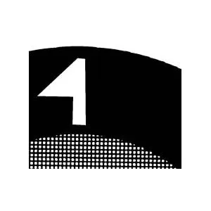 Ultra Fine Square 1000 Mesh