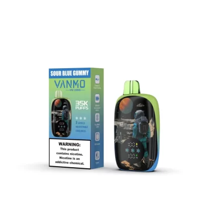 Vanmo VM35K 35000 Puffs Disposable Vape - 20mL - Icy Blackberry