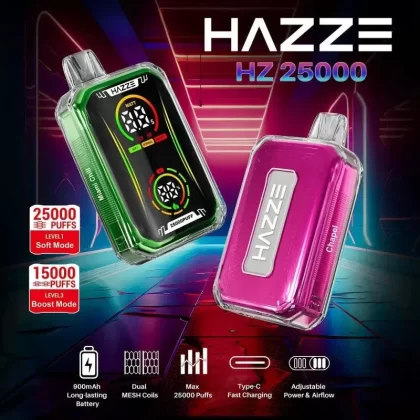 HAZZE HZ25000 Disposable