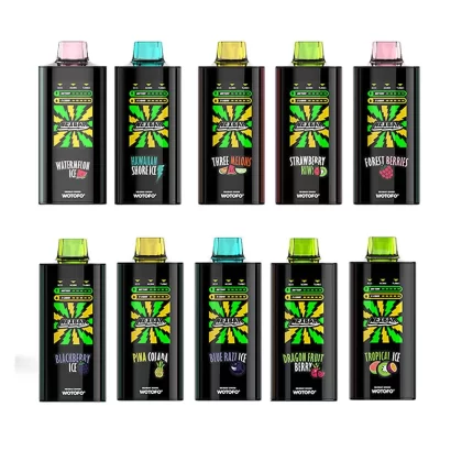 Wotofo nexBar 20K Rechargeable Disposable Vape Kit - Blackberry Ice / 20mg / CN-SZ Warehouse
