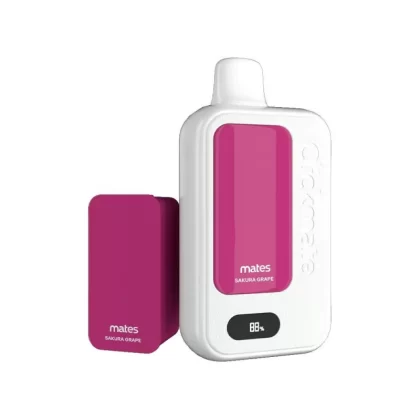7 Daze Clickmate 15K Puff Disposable KIT (5% Nicotine) - 15,000 Puffs - Icy Bites