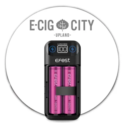 Efest LUSH BOX Charger and Portable Power Bank