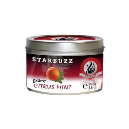 StarBuzz Exotic Citrus Mint Hookah Shisha 100g