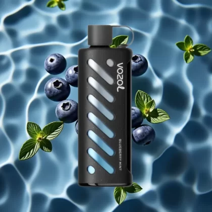 VOZOL Gear Shisha 25000 Puffs Blueberry Mint Disposable Vape with S.i.L.C Tech & Dual Mesh - Bangvapeaustralia
