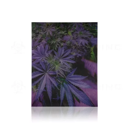 Wall Art | lenticular 3D – Purple Plant | 18″ x 14″