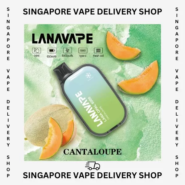 Lana Opal 8000 Puffs - Rootbeer - Sgvapedeliveryshopsecure - Image 2