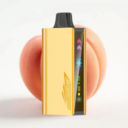 JNR Cruiser 12000 Puffs Sin Carga Vape Desechable Durazno Hielo 25ml 50mg - Fumotvapemexico