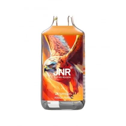 JNR Falcon 16000 Puffs Disposable Vape - Flavors#Blackberry Red Raspberry>Blue Razz Ice>Blueberry Pomegranate Ice>Blueberry Red Raspberry>Mango Passion Fruit>Passion Fruit Kiwi>Sakura Grape>