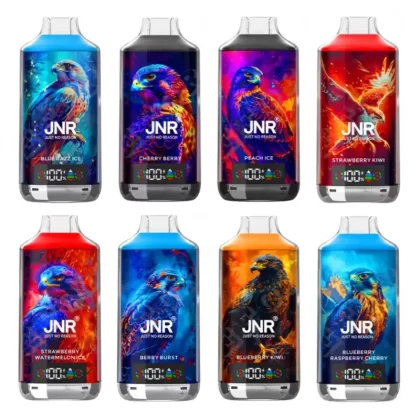 JNR Falcon X 18000 Puffs Disposable Kit - Sour Apple Ice