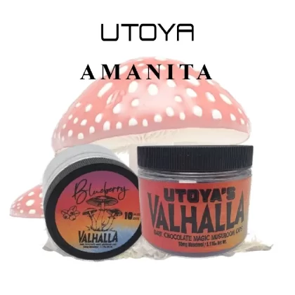 Utoya Amanita Mushroom Chocolate Caps - Vape Store