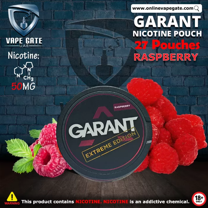 Garant Nicotine Pouch - Ice Cool - 35 mg