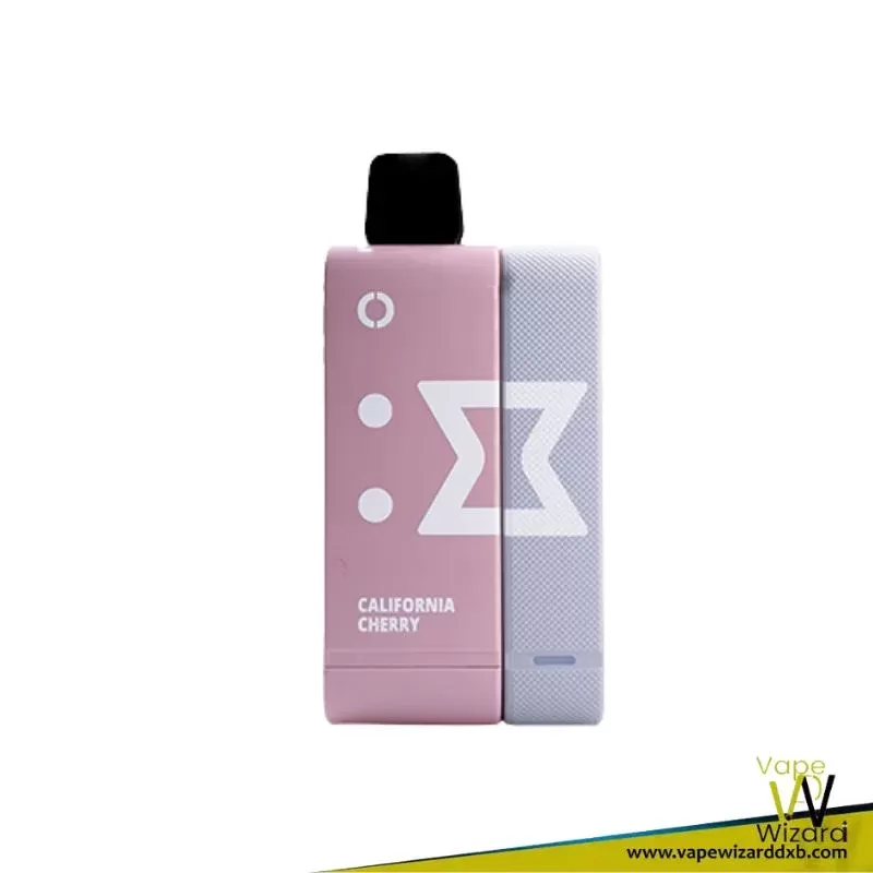 Elfbar EW9000 Puffs Starter Kit 50mg Nicotine (Pod+Battery Pack) Disposable Vape - Vapewizarddxb - Image 3