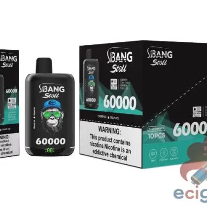 BANG LEADER 60K Disposable Vape | 60K Puffs | Multi-Flavor Fusion