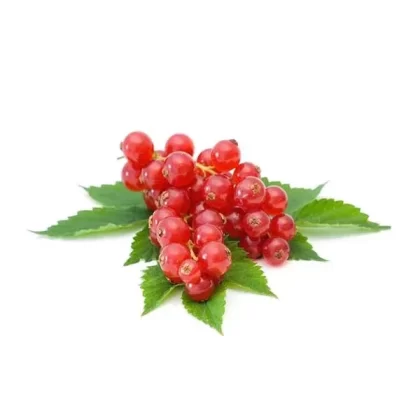 Treeberry HelloCig E-Liquid 60ml
