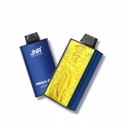 JNR MegaBox 25000 Puffs Dual Mesh Disposable Vape - Blueberry Sour Raspberry Strawberry, Blue Razz Cherry; 2-nicotine (DE7C69)