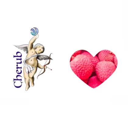 Lychee Cherub E-Liquid Juice – 10ml Bottle - Vapourdays Co