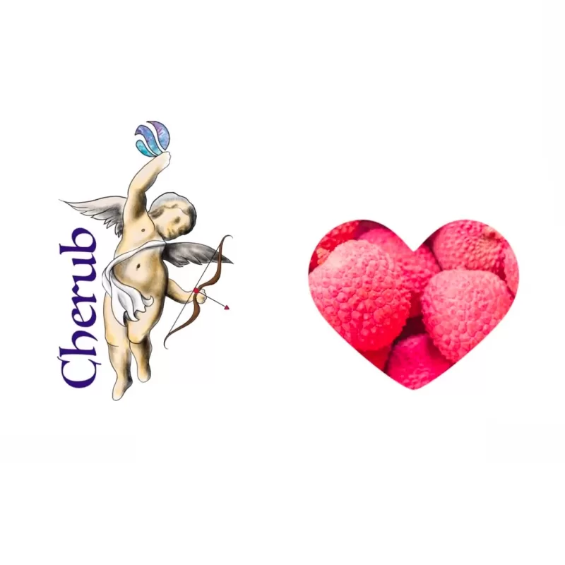 Lychee Cherub E-Liquid Juice – 10ml Bottle - Vapourdays Co