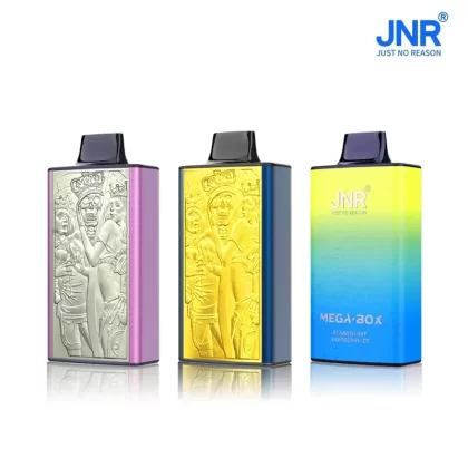 JNR Mega Box 25000 Puffs Prefilled Vape Pod Kit – Box of 10