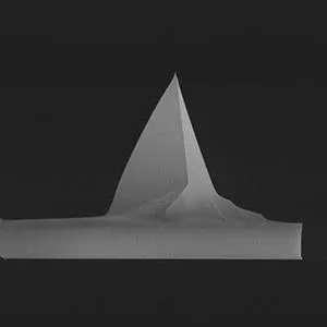 MESP-V2