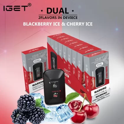 Wholesale Original IGET Dual Disposable Vape Device 2100puffs 1000mah ( )