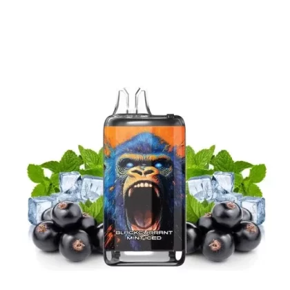 Torna Max 30K by Torna-Bar – Blackcurrant Mint Iced 30,000 Puff USB‑C Rechargeable Vape