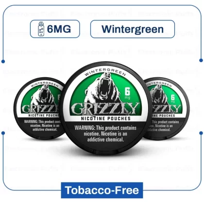 Buy Grizzly Wintergreen 6mg Nic Pouch | Electronicpuffs