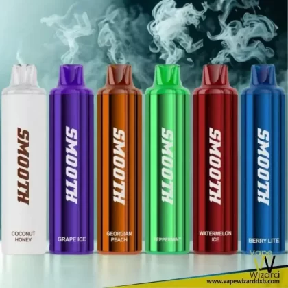 SMOOTH 10000 Puffs Disposable Vape 20 MG - Vapewizarddxb