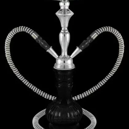 Versailles 2-Hose Premium Hookah