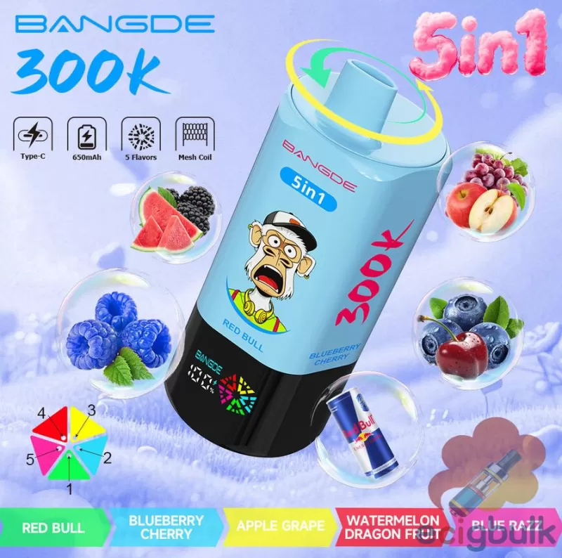 Bang DE 300K Puffs 5-in-1 Disposable Vape | Premium Flavor Variety - Image 2