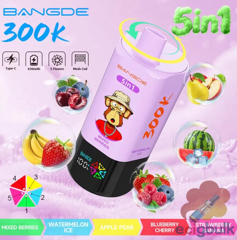 Bang DE 300K Puffs 5-in-1 Disposable Vape | Premium Flavor Variety - Image 3