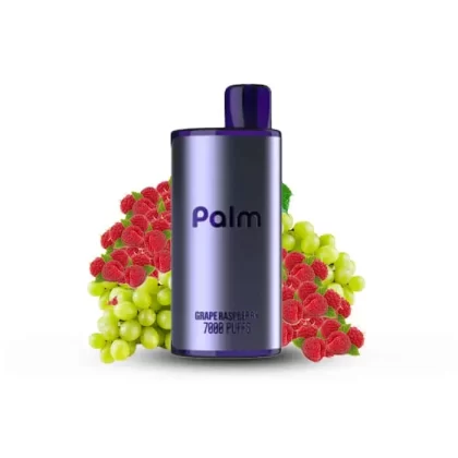 Pop Hit Palm – Grape Raspberry