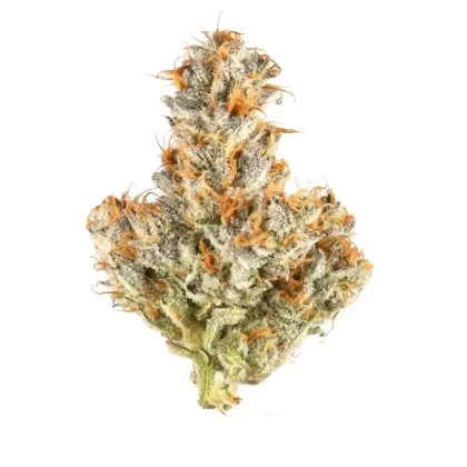 White Truffle THC-A Flower