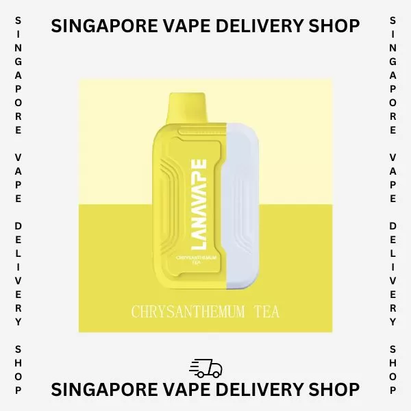 Lana Ultra 2 16000 Puffs - Double Mint (Set) - Image 3