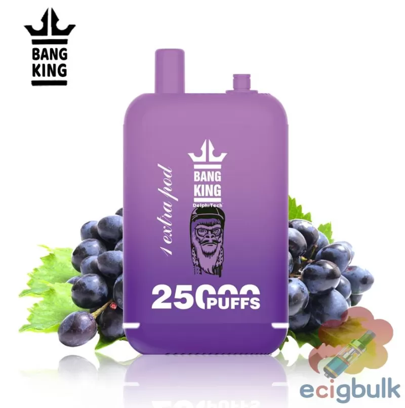 Bang King 25000 Puffs Dual Pod Disposable Vape – Long Lasting