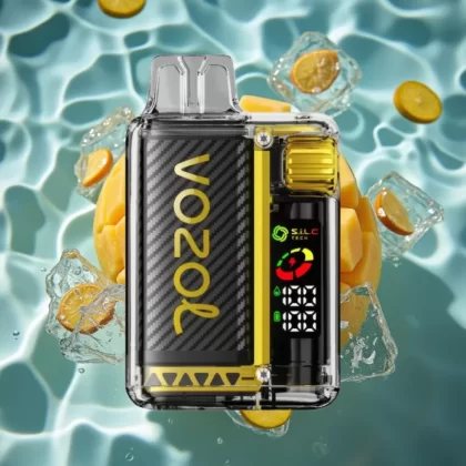 VOZOL Vista 20000 Puffs Rechargeable Disposable Vape Kit with OLED Screen & Mango Ice Flavor - Bangvapeaustralia