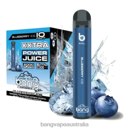 Bang Vape XXL 2000 puffs 6006N14 Blueberry Ice – Vape Gang Sydney - Bangvapeaustralia
