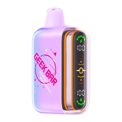 Blueberry Watermelon Geek Bar Pulse 2 25K