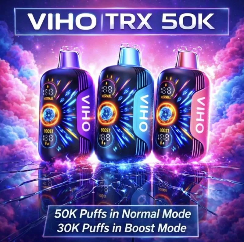 VIHO TRX 50K - Cinnamon Funnel Cake (BLK Series) - Image 2