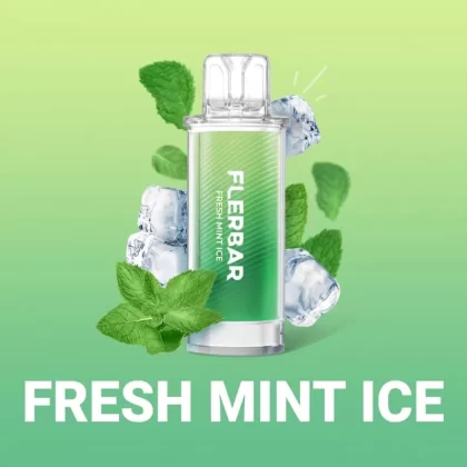 Flerbar Pods – Fresh Mint Ice – Prefilled Liquid Pod – 2er Pack - Vapebazar