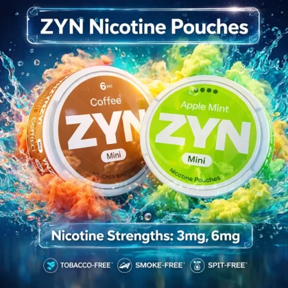ZYN Nicotine Pouches - Cinnamon / 3mg - Vapeciga