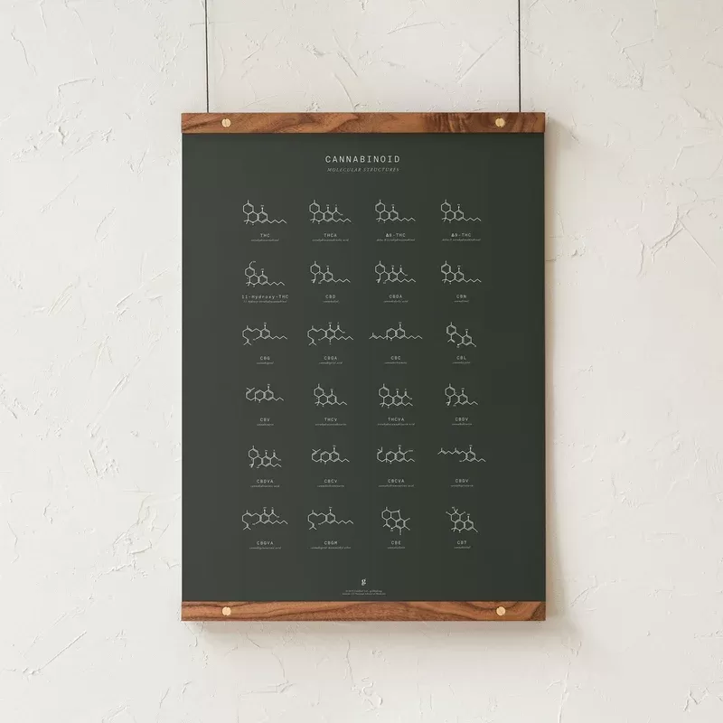GoldLeaf Cannabinoid Molecular Structures Chart Print