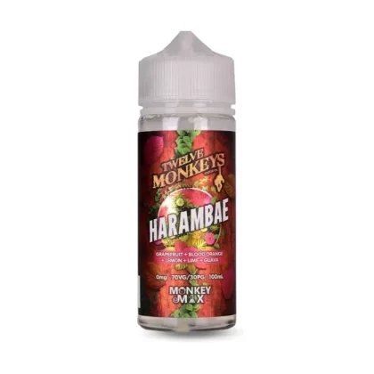 Twelve Monkeys – Harambe 100ml Short Fill