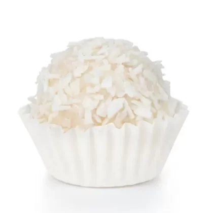 The Flavor Apprentice – Coconut Candy 15mL - Vape Store