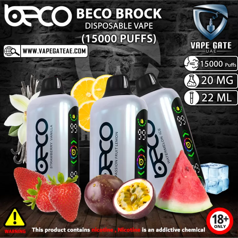 BECO BROCK DISPOSABLE VAPE (15000 PUFFS) - 20 mg / Grape Ice