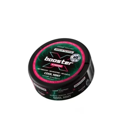 Woreczki Kofeinowe X-BOOSTER 40mg – Cool Mint Snus