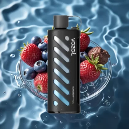 VOZOL Gear Shisha 25000 Puffs Dual Mesh Blueberry Ice Disposable Vape with S.i.L.C Tech - Bangvapeaustralia