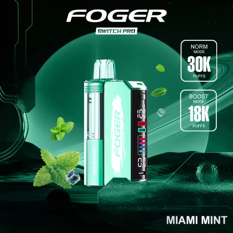 Miami Mint Foger Switch Pro Kit 30K Puffs - Image 3